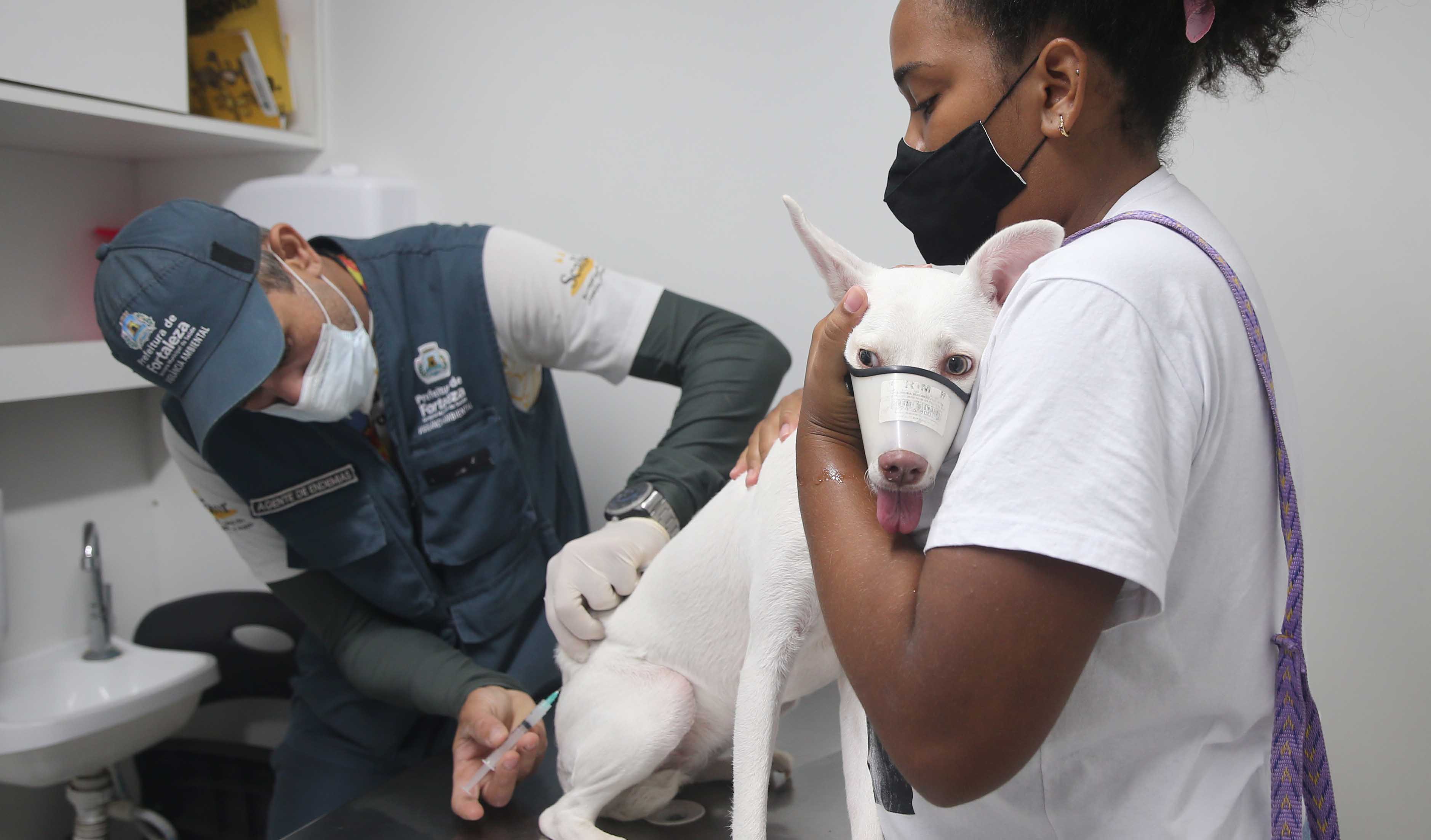 agente de saúde vacinando um cachorro